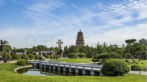 世界杯官网 双流城市绿化率排行榜前十